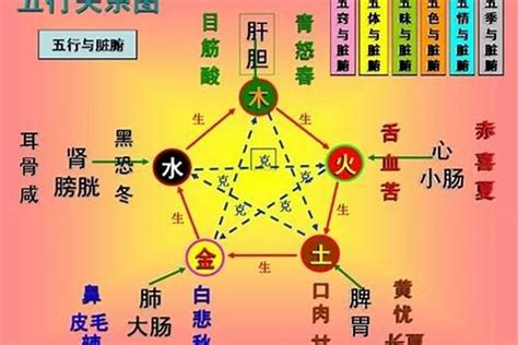 属土的人|八字中的土代表什么 (五行属土的人的性格特点)